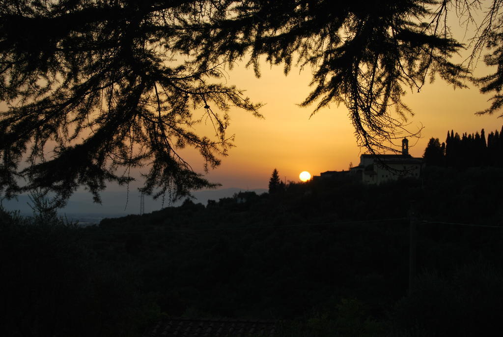 Ulivi Di Castello Frühstückspension