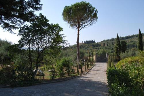 Ulivi Di Castello Frühstückspension 3*